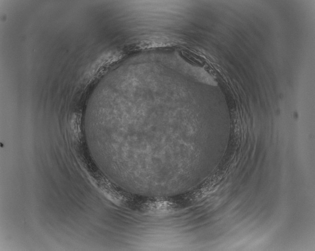 X0000068740695200605051451