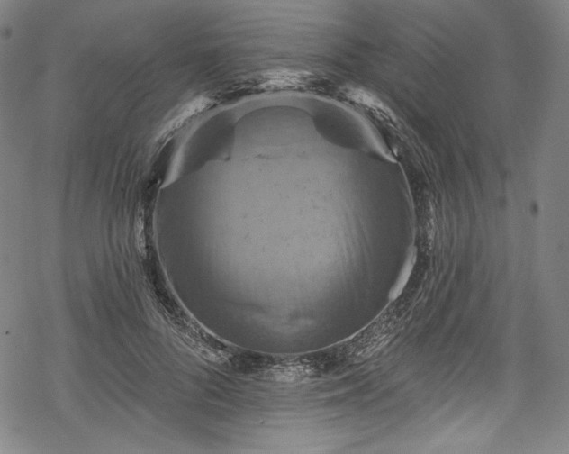 X0000068740696200605051451