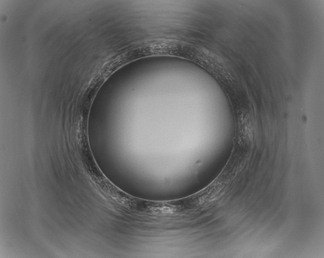 X0000068740698200605051451