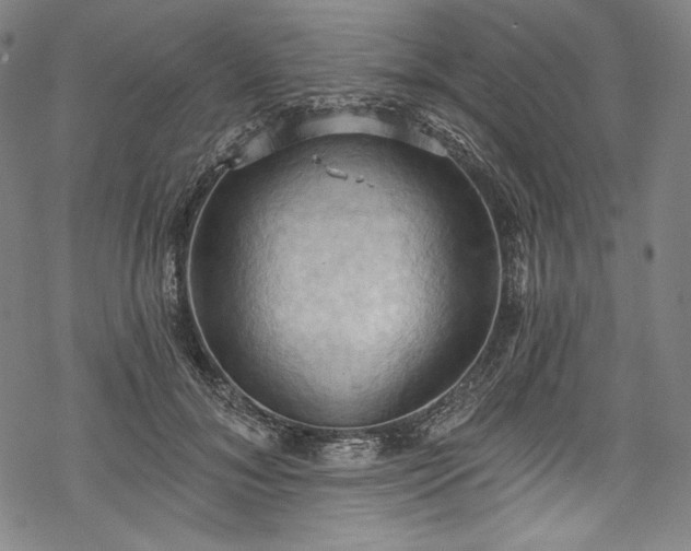 X0000068740700200605051451