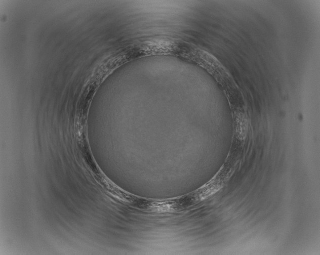 X0000068740701200605051451