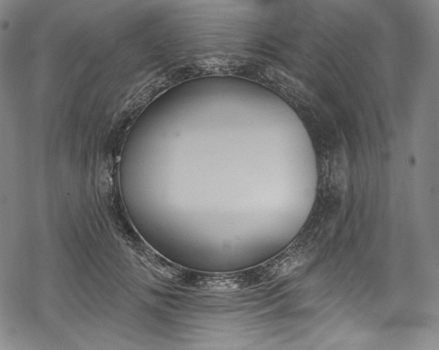 X0000068740702200605051451