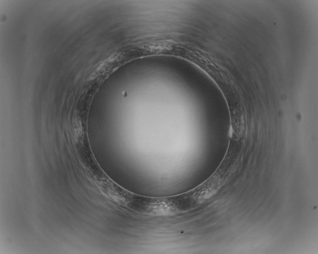 X0000068740704200605051451