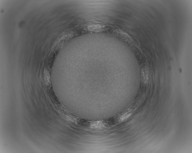 X0000068740705200605051451