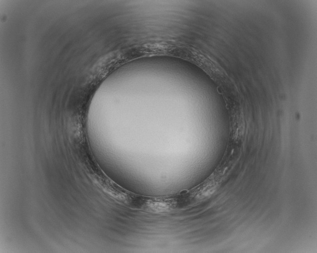 X0000068740706200605051451