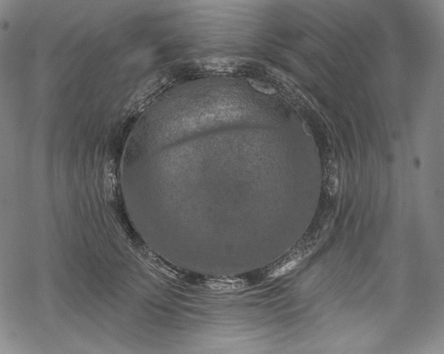 X0000068740707200605051451