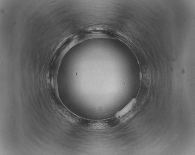 X0000068740708200605051451