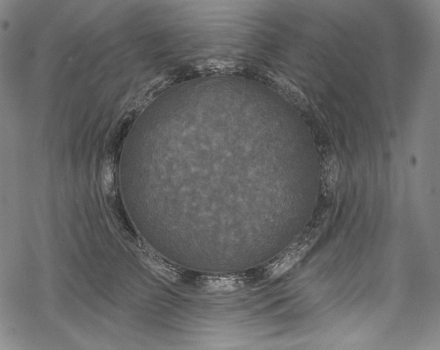 X0000068740709200605051451