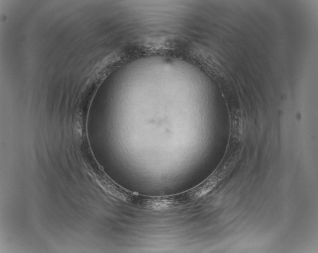 X0000068740710200605051451