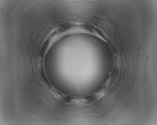 X0000068740712200605051451