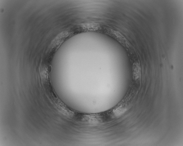 X0000068740713200605051451