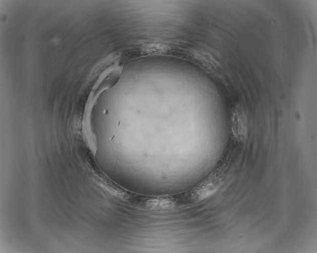 X0000068740714200605051451