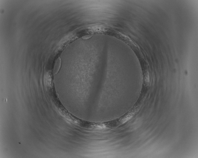 X0000068740715200605051451