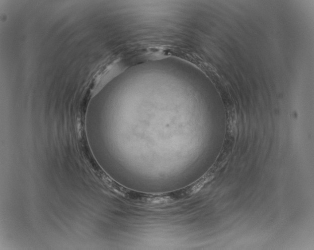 X0000068740716200605051451