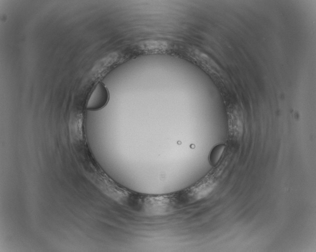 X0000068740717200605051451