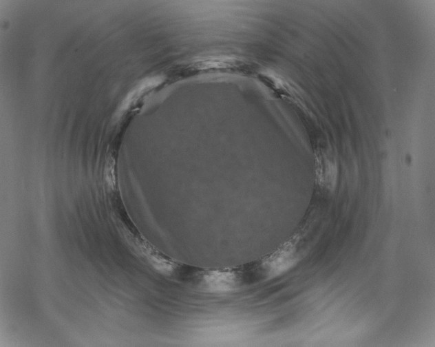 X0000068740718200605051451