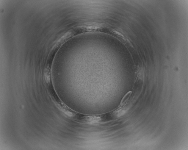 X0000068740719200605051451