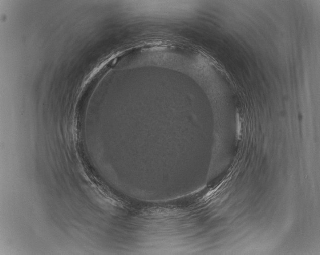 X0000068740722200605051450