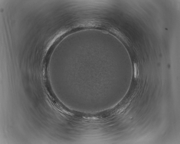 X0000068740723200605051450