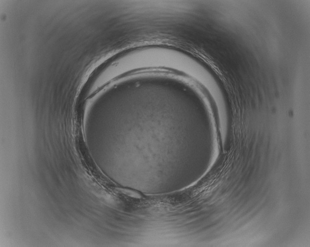 X0000068740724200605051450