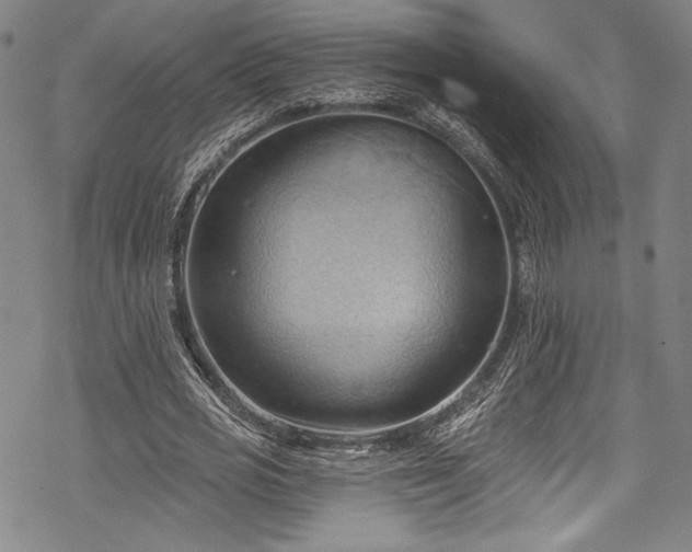 X0000068740725200605051450