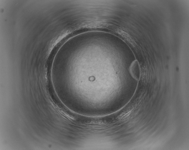 X0000068740727200605051450