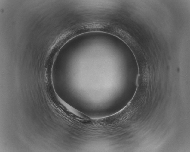 X0000068740731200605051450