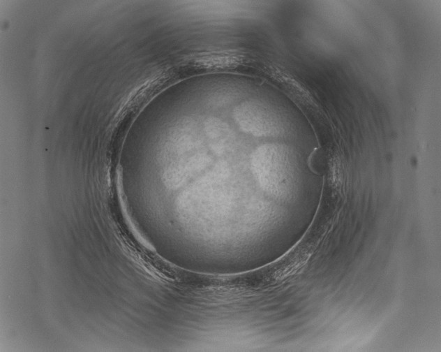 X0000068740733200605051450