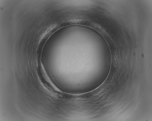 X0000068740734200605051450