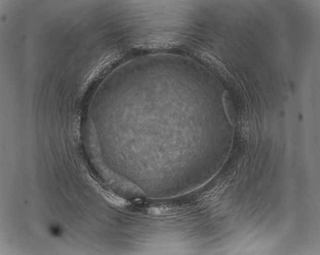 X0000068740735200605051450