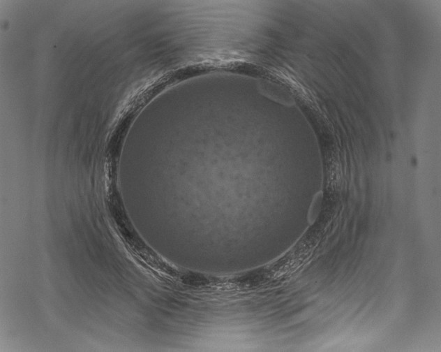 X0000068740736200605051450