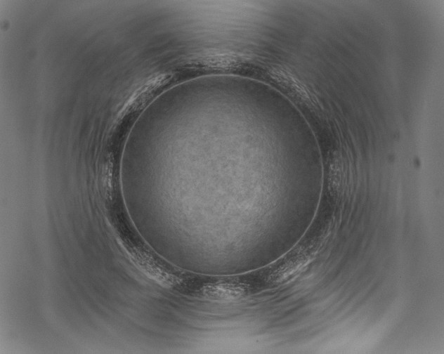 X0000068740739200605051450