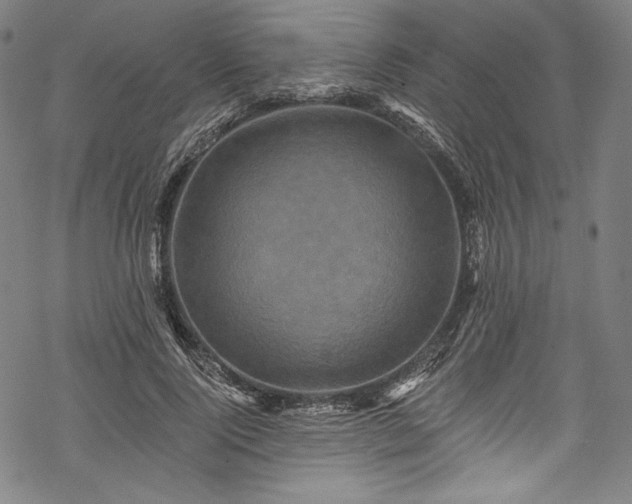 X0000068740740200605051450