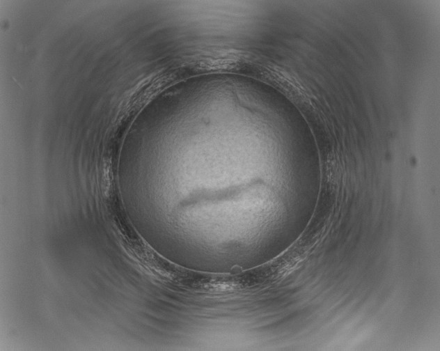 X0000068740741200605051450