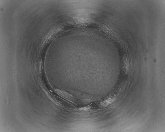 X0000068740742200605051450