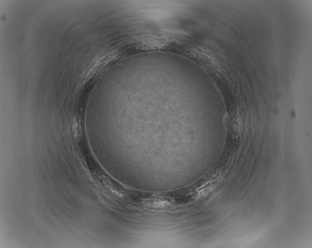 X0000068740743200605051450