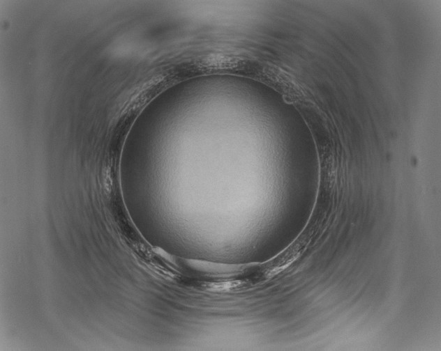 X0000068740746200605051450