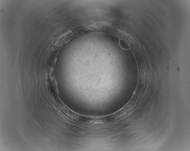 X0000068740749200605051450