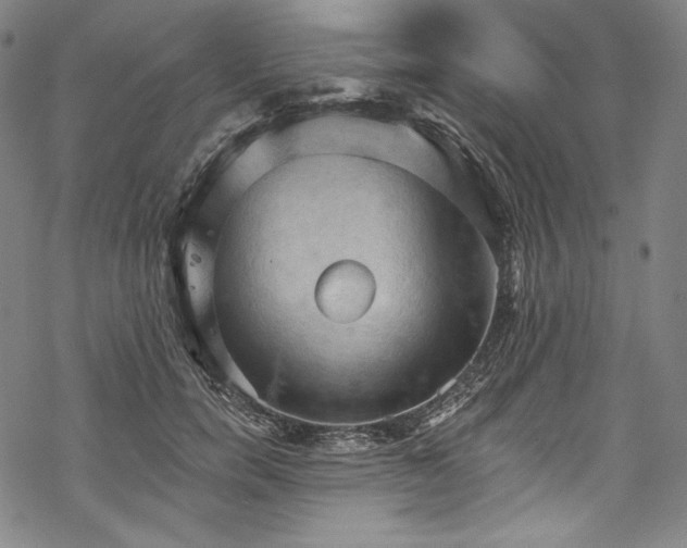 X0000068740750200605051450