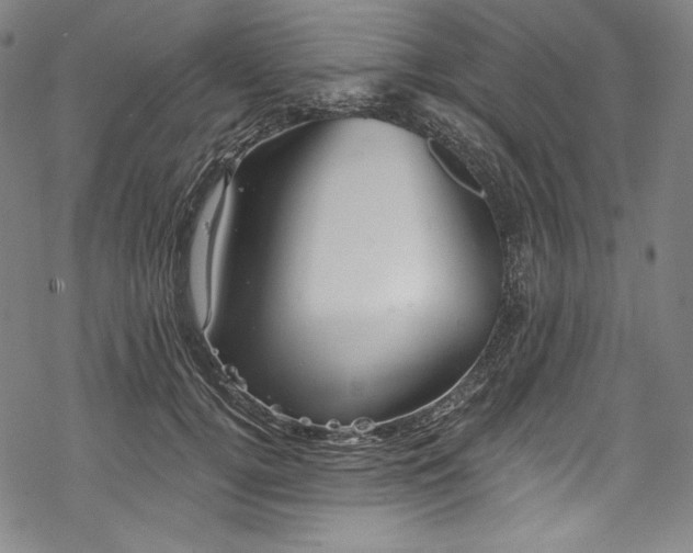 X0000068740752200605051451