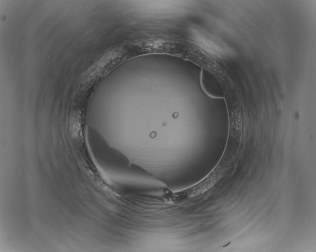 X0000068740754200605051451