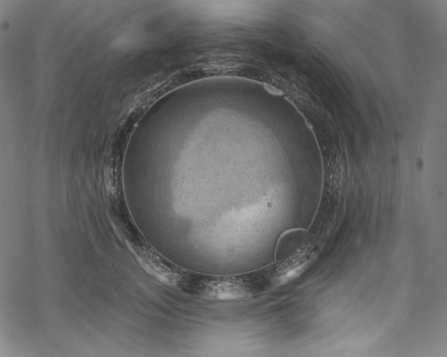 X0000068740755200605051451