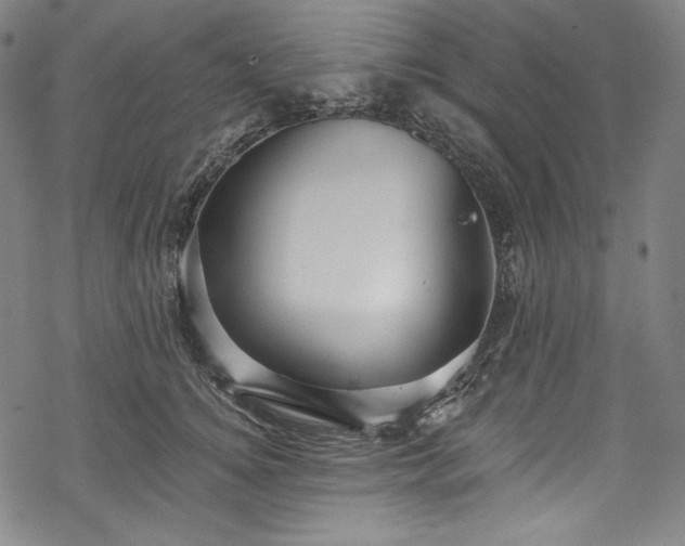 X0000068740756200605051451