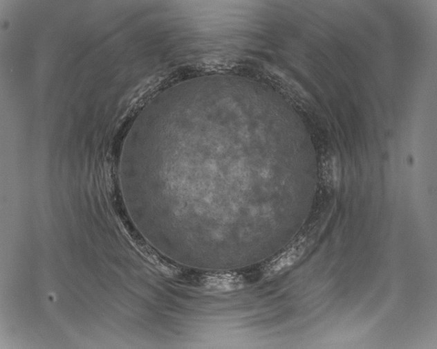 X0000068740757200605051451