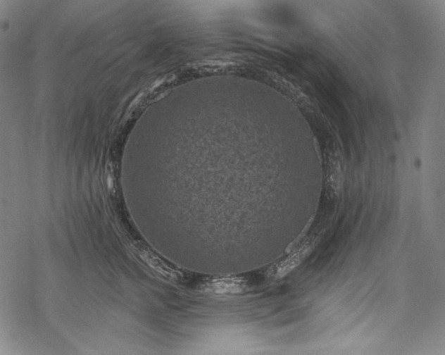 X0000068740758200605051451