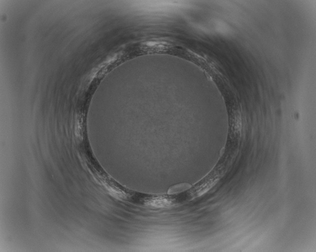 X0000068740759200605051451