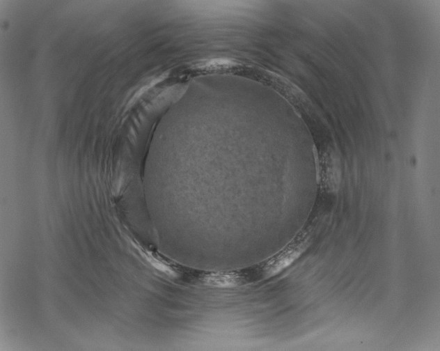 X0000068740762200605051451