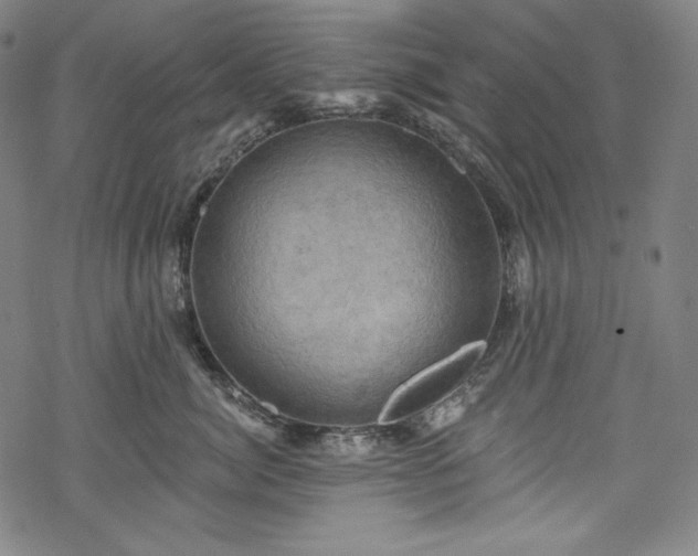 X0000068740764200605051451