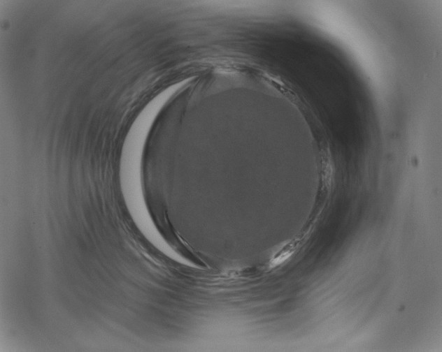 X0000068740766200605051451