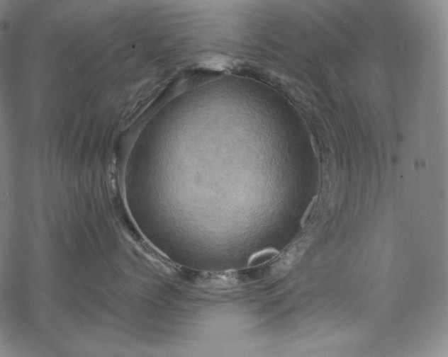 X0000068740768200605051451